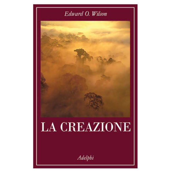 La creazione (1 ed. nuovo 2008)